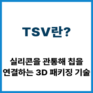 TSV란?