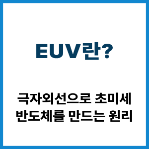 EUV란?