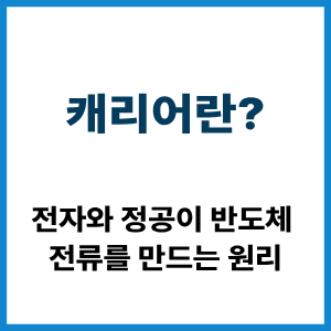 캐리어란?
